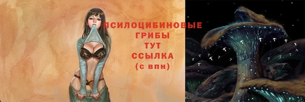 крисы Арсеньев