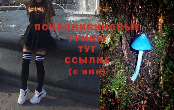a pvp Армянск