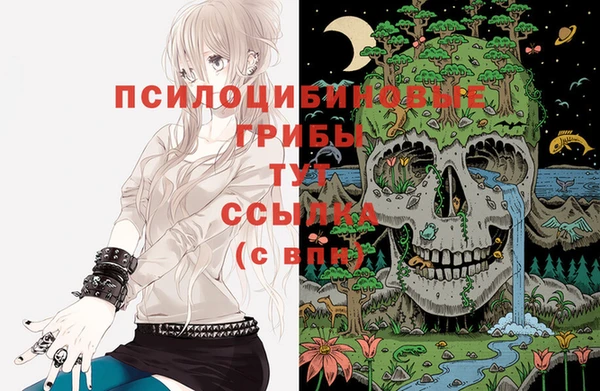 гашик Баксан