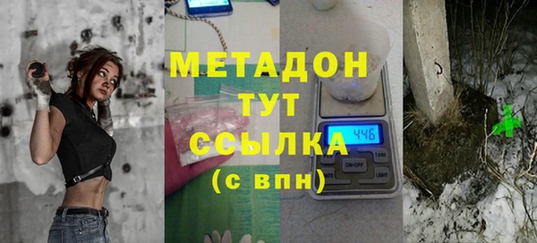 прущие грибы Аркадак