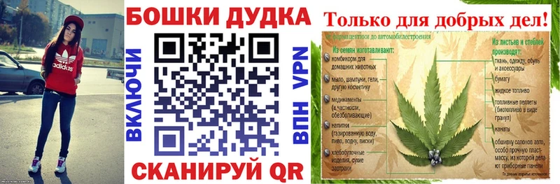 где найти наркотики  Кудрово  Канабис гибрид 